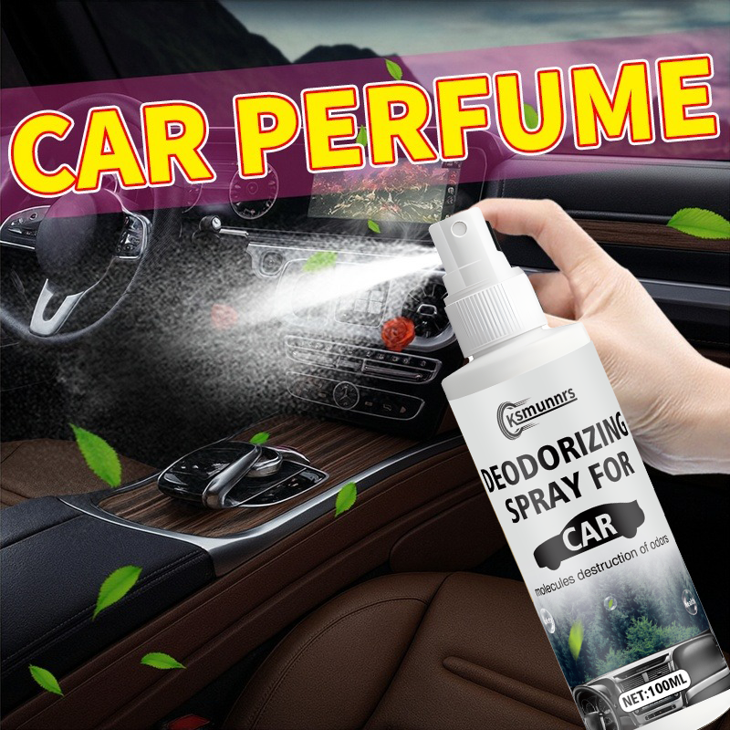 Long-lasting air freshener and – обзор и цена Odor Eliminator Car